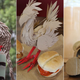 Illustration for article titled Why Arbys Twitter Is All Over Gaming Right Nowem/em